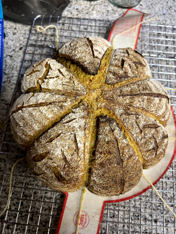 Pumpkin Sourdough Loaf